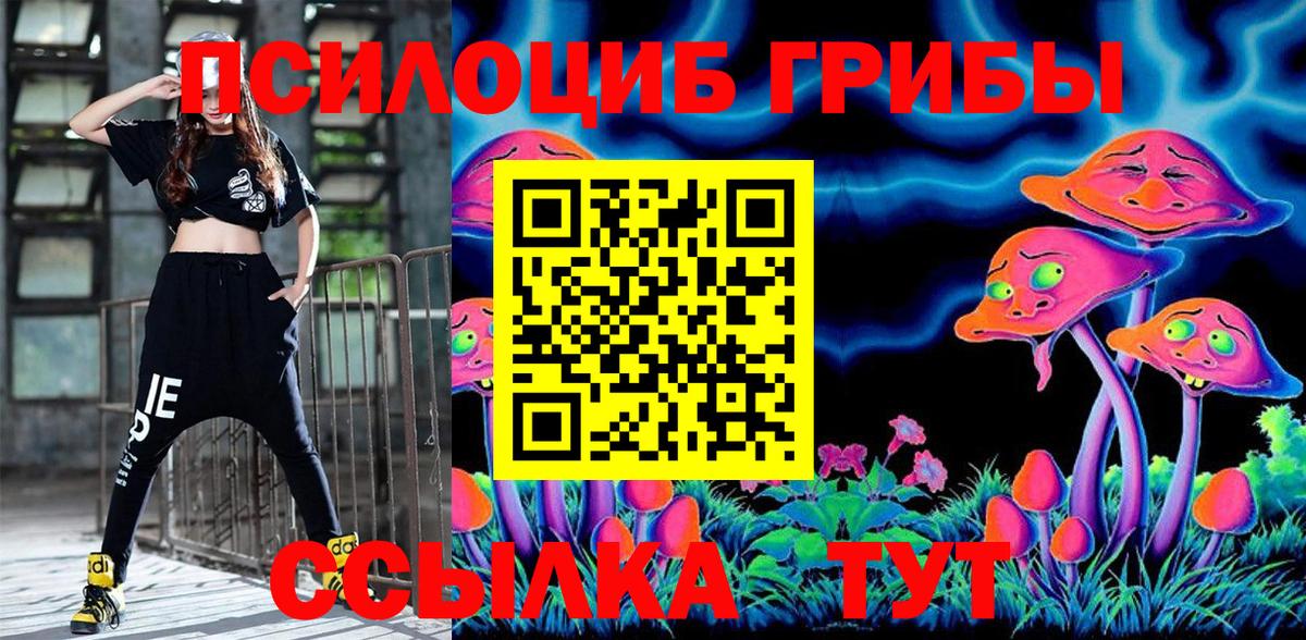Псилоцибиновые грибы Psilocybine cubensis Саратов