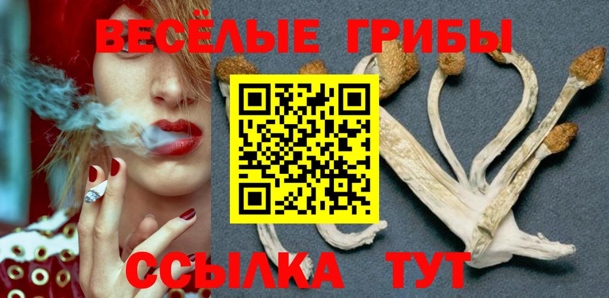 Галлюциногенные грибы Psilocybine cubensis  Галлюциногенные грибы Psilocybe  Вход с VPN  Саратов 
